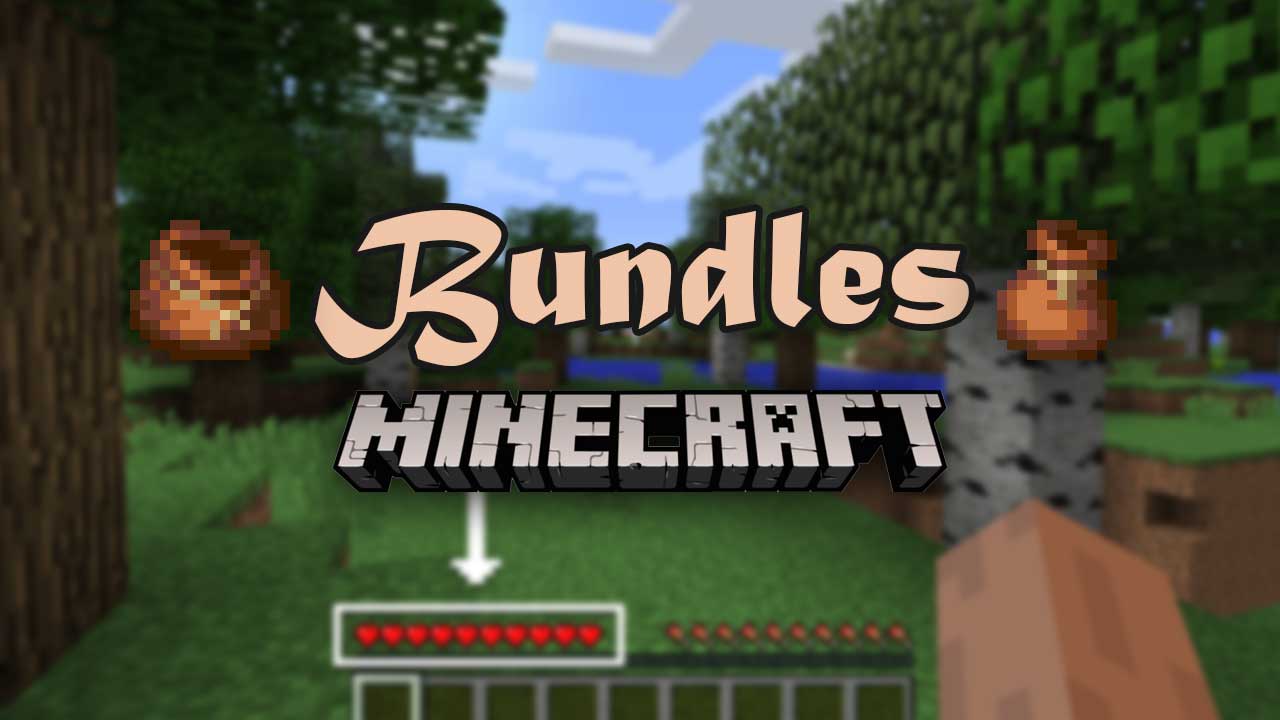 Discover the New Bundles Feature in Minecraft Version 1.21.1